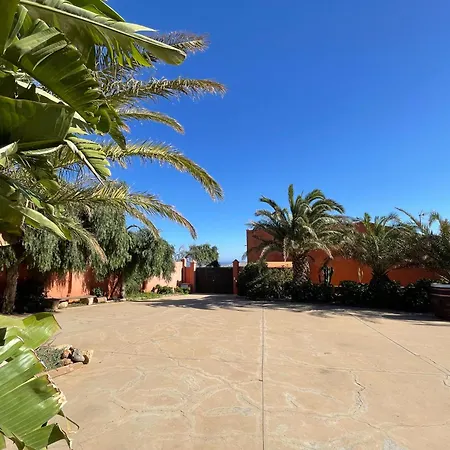 Apartment Pet Friendly In Gran Canaria