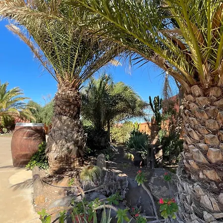 Pet Friendly In Gran Canaria Ojos de Garza