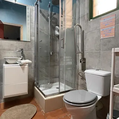 Pet Friendly In Gran Canaria *
