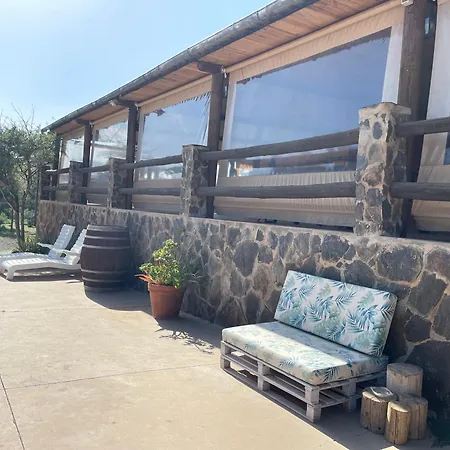 Pet Friendly In Gran Canaria Apartment Ojos de Garza