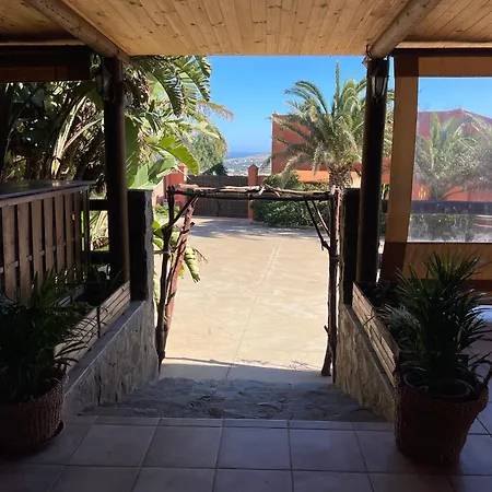 Apartment Pet Friendly In Gran Canaria