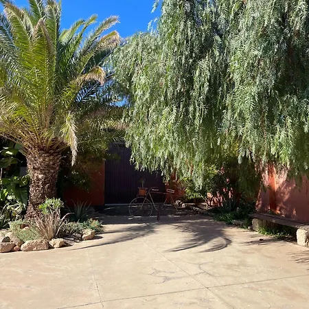 Apartment Pet Friendly In Gran Canaria *
