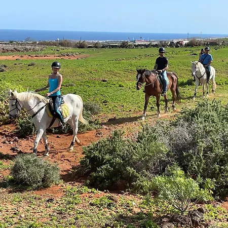 Pet Friendly In Gran Canaria Ojos de Garza