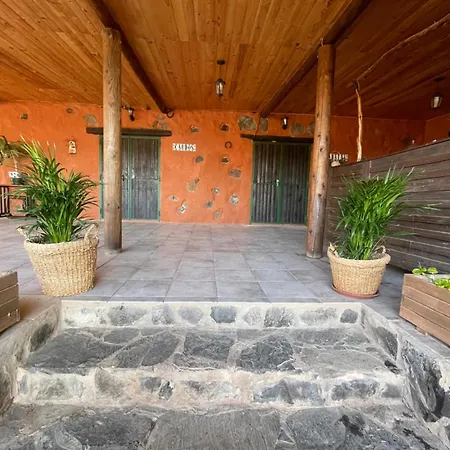 Pet Friendly In Gran Canaria Ojos de Garza