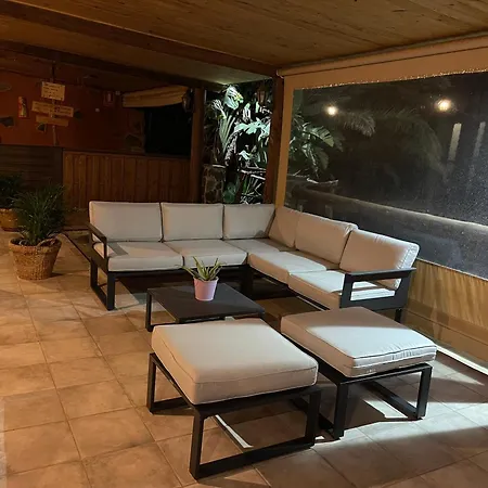 Pet Friendly In Gran Canaria