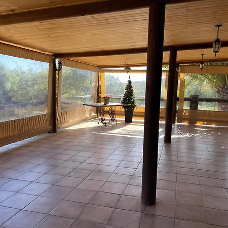 Pet Friendly In Gran Canaria Apartment