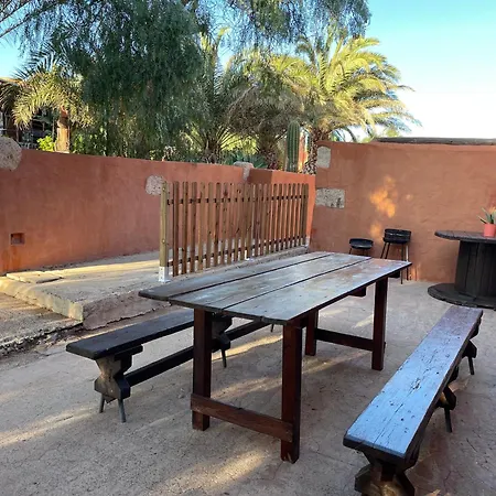 Apartment Pet Friendly In Gran Canaria *
