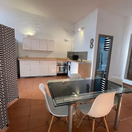 Pet Friendly In Gran Canaria *