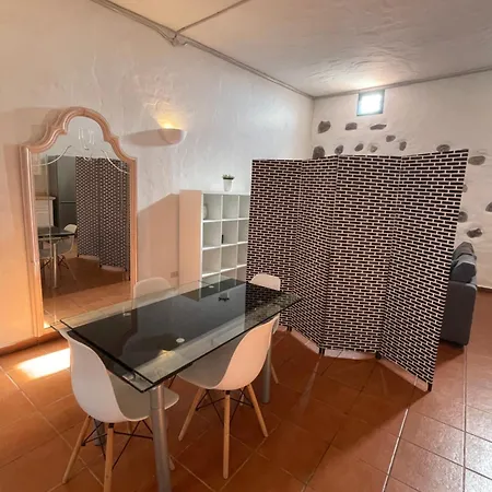 Pet Friendly In Gran Canaria