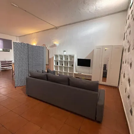 Apartment Pet Friendly In Gran Canaria