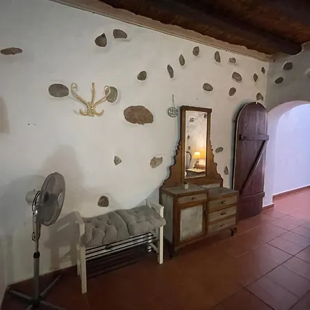 Apartment Pet Friendly In Gran Canaria