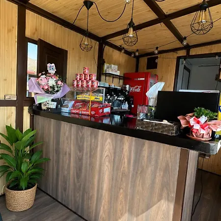 Pet Friendly In Gran Canaria Ojos de Garza