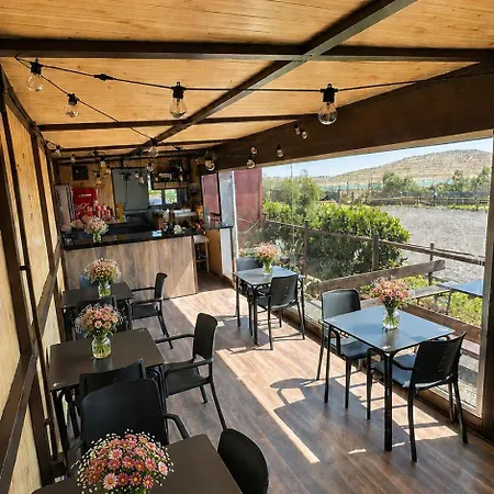 Pet Friendly In Gran Canaria * Ojos de Garza