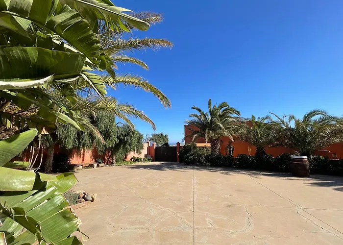 דירה Pet Friendly In Gran Canaria