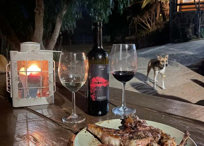 Pet Friendly In Gran Canaria *