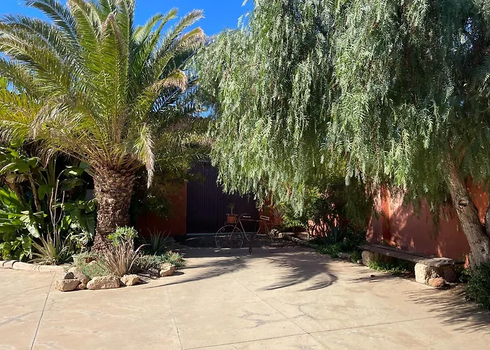 דירה Pet Friendly In Gran Canaria *