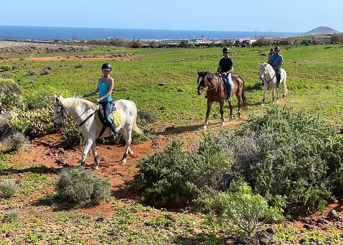 Pet Friendly In Gran Canaria Ojos de Garza