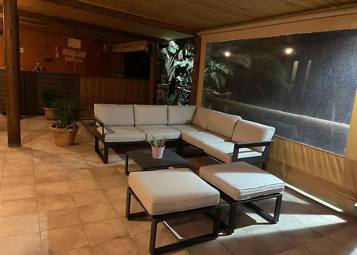 Pet Friendly In Gran Canaria