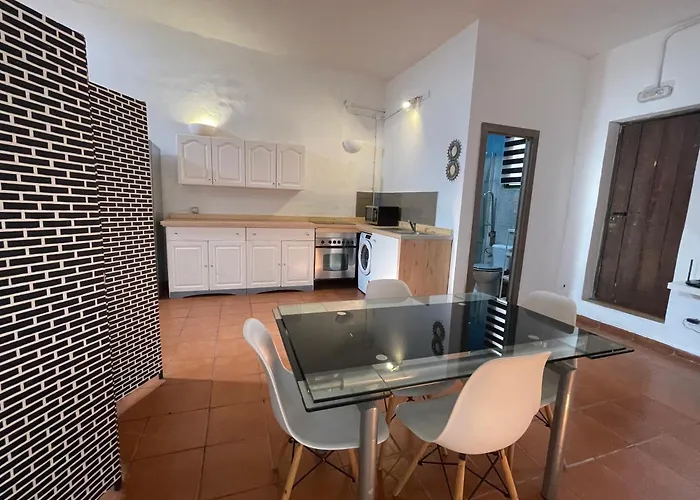 Pet Friendly In Gran Canaria *