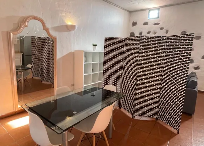 Pet Friendly In Gran Canaria